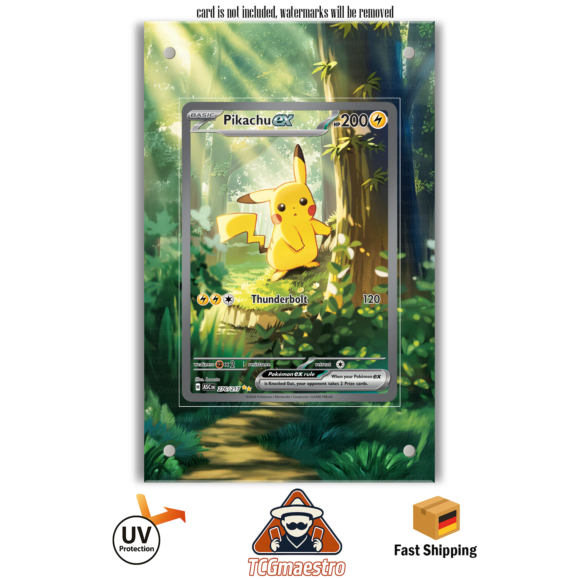 TCGmaestro - Protect and showcase your Pokemon cards TCGmaestro - Protect and showcase your Pokemon cards
